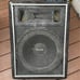 CSX-38M / CS-38M Community Monitor Wedge Speaker - A pair