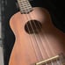 Lanikai Ukulele: LU-21a - with case