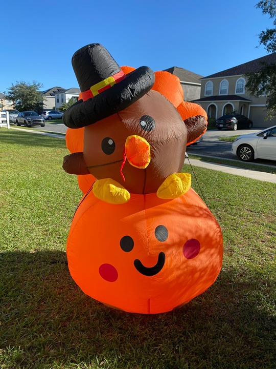 5FT Tall Thanksgiving Inflatables Turkey Baby on Pumpkin with Built-in LED