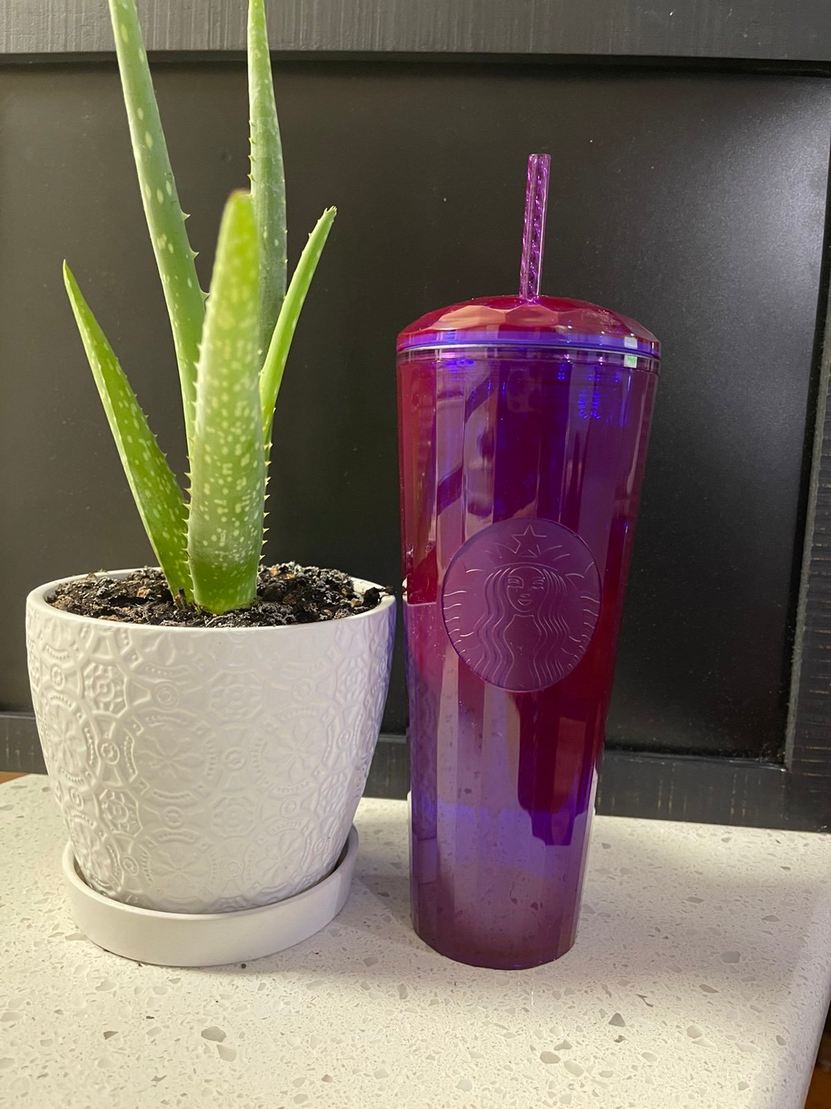 Starbucks Purple Dome Tumbler Fall '21