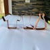 (3) Country Cowboy/ Cowgirl Themed Heavy Duty Copper Cookie Cutters