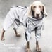 Reflective All-Weather Waterproof Dog Coat Medium
