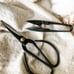 Scissors and Pruners Set | For indoor plants and gardening.-AS