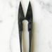 Scissors and Pruners Set | For indoor plants and gardening.-AS