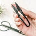 Scissors and Pruners Set | For indoor plants and gardening.-AS