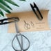 Scissors and Pruners Set | For indoor plants and gardening.-AS