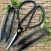 Scissors and Pruners Set | For indoor plants and gardening.-AS