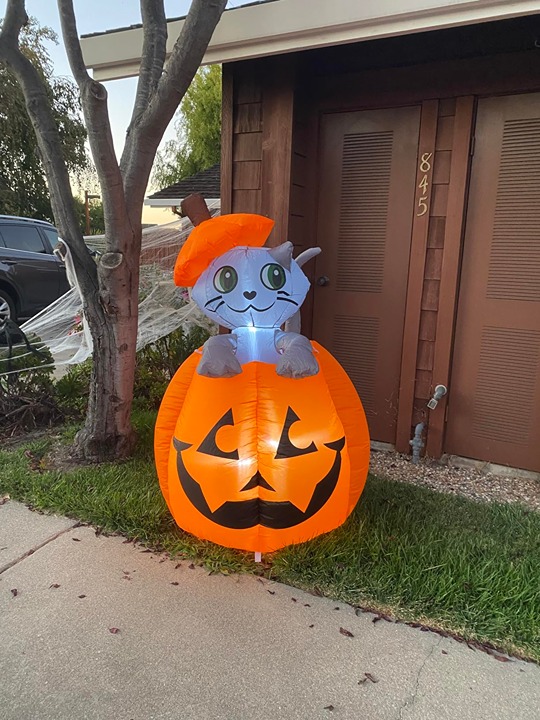 5 ft Tall Halloween Inflatable Animated Kitty Cat On Pumpkin Inflatable