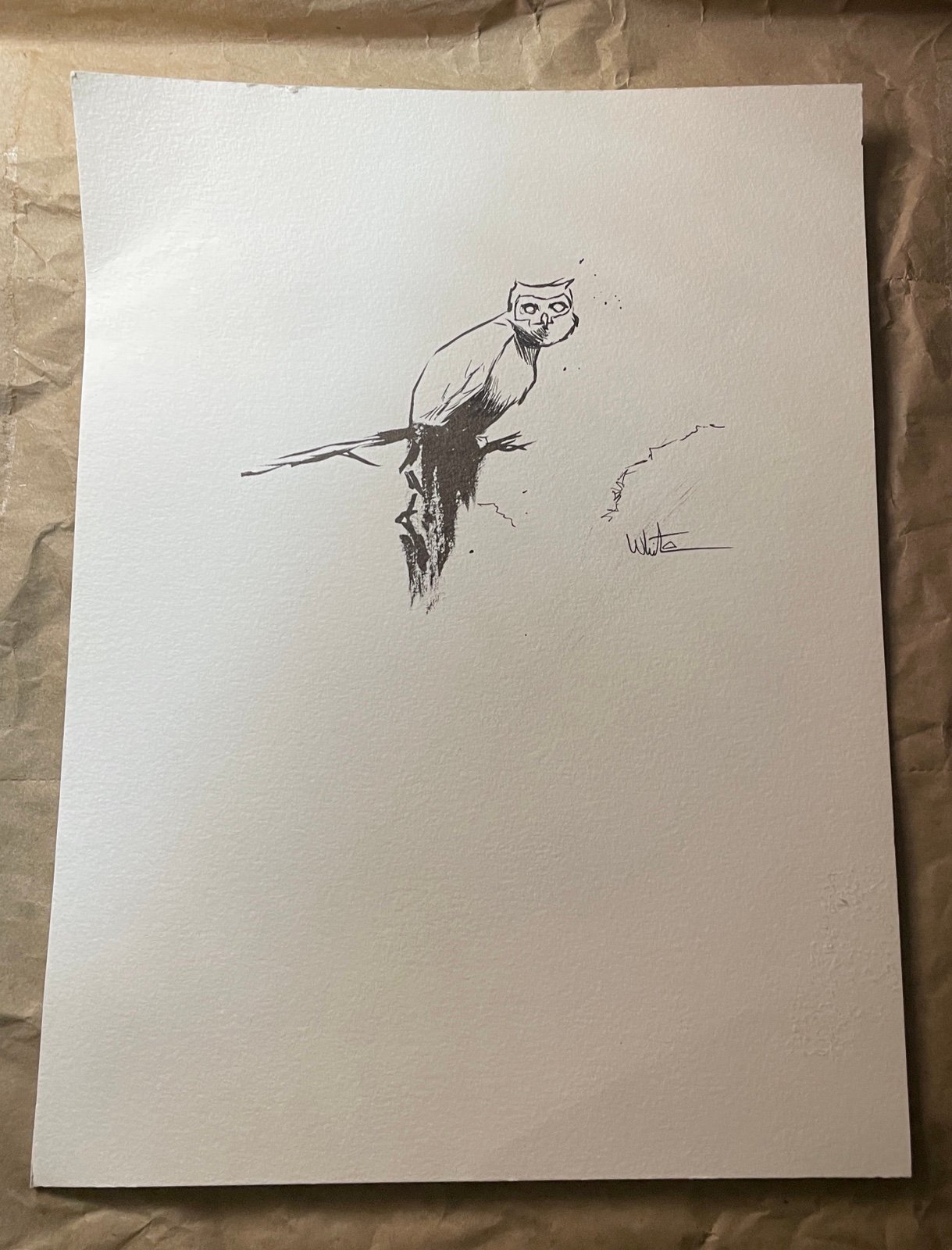 Owl Drawing Artwork
