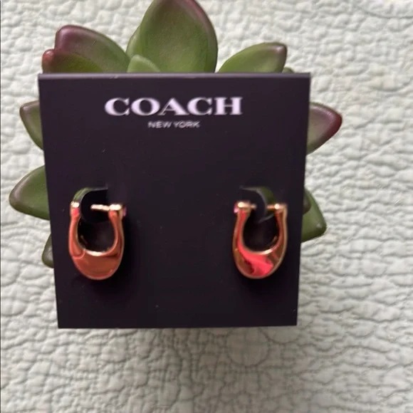 COACH Clip Earrings