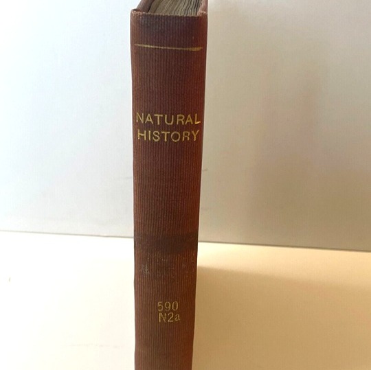 1854 Natural History; or, A Short Introduction to Animated Nature Illustrated