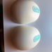 Willow breast pump 2.0