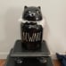 Rae Dunn BEWARE Cat Canister