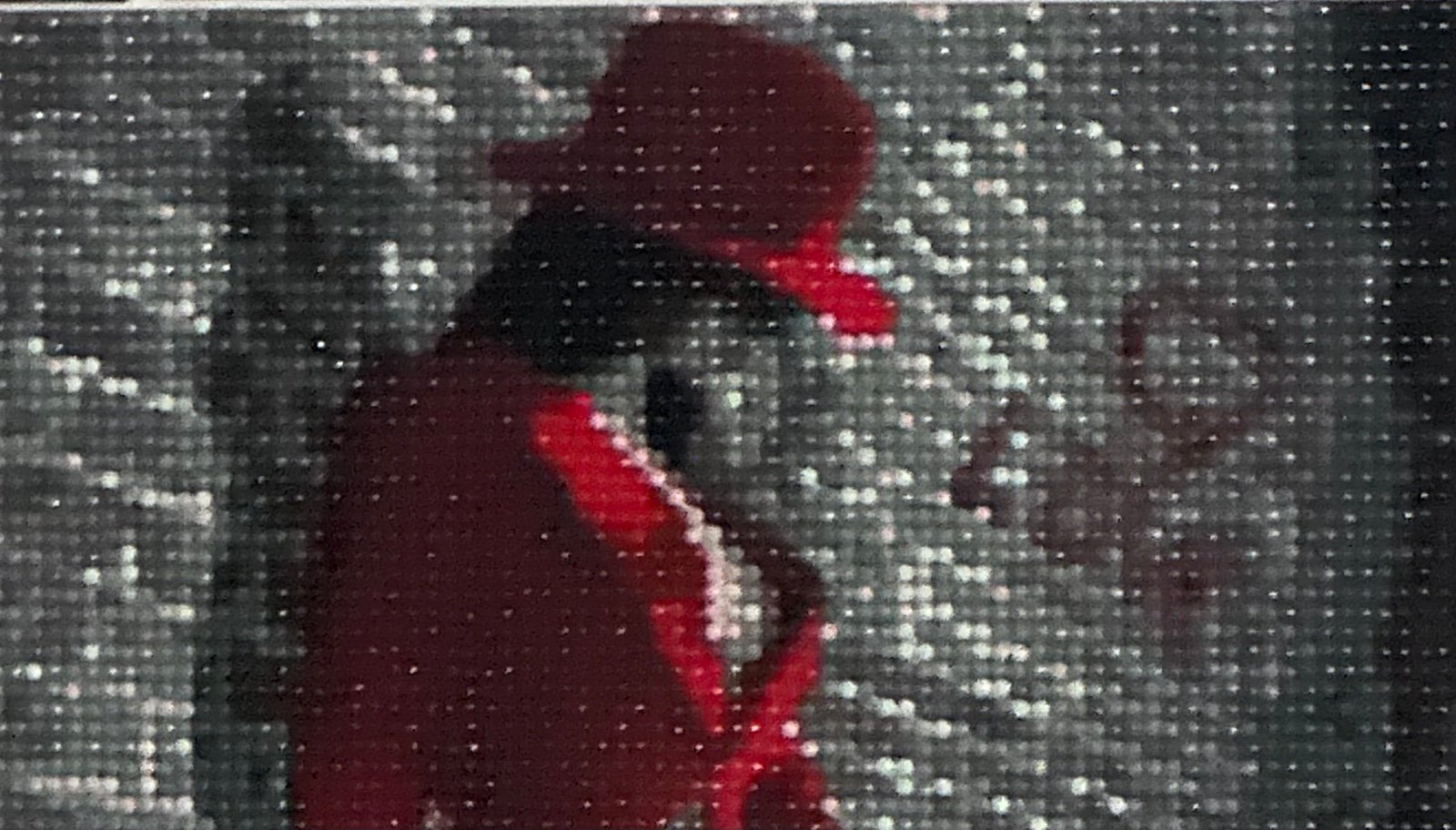 Lady in Red