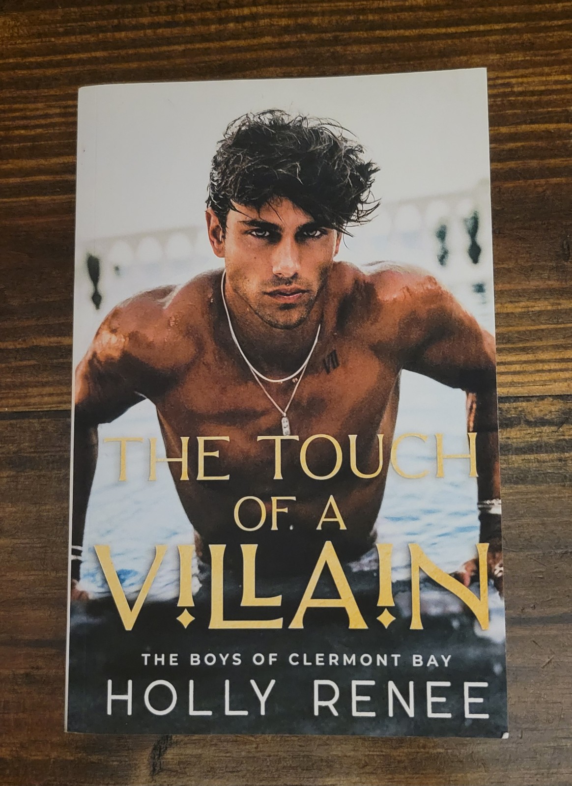 The Touch of a Villain by Holly Renee