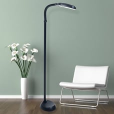 Floor Lamp - 6ft Full Spectrum Natural Sunlight Lamp with Bendable Neck, Black