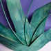 Vintage Mid Century Yellow/Gr Painted Metal 3Tulip/Floral Wall Hanging Sculpture
