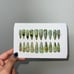 Press on nails