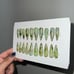 Press on nails