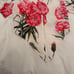 dolce and Gabbana crop top size 40