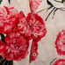 dolce and Gabbana crop top size 40
