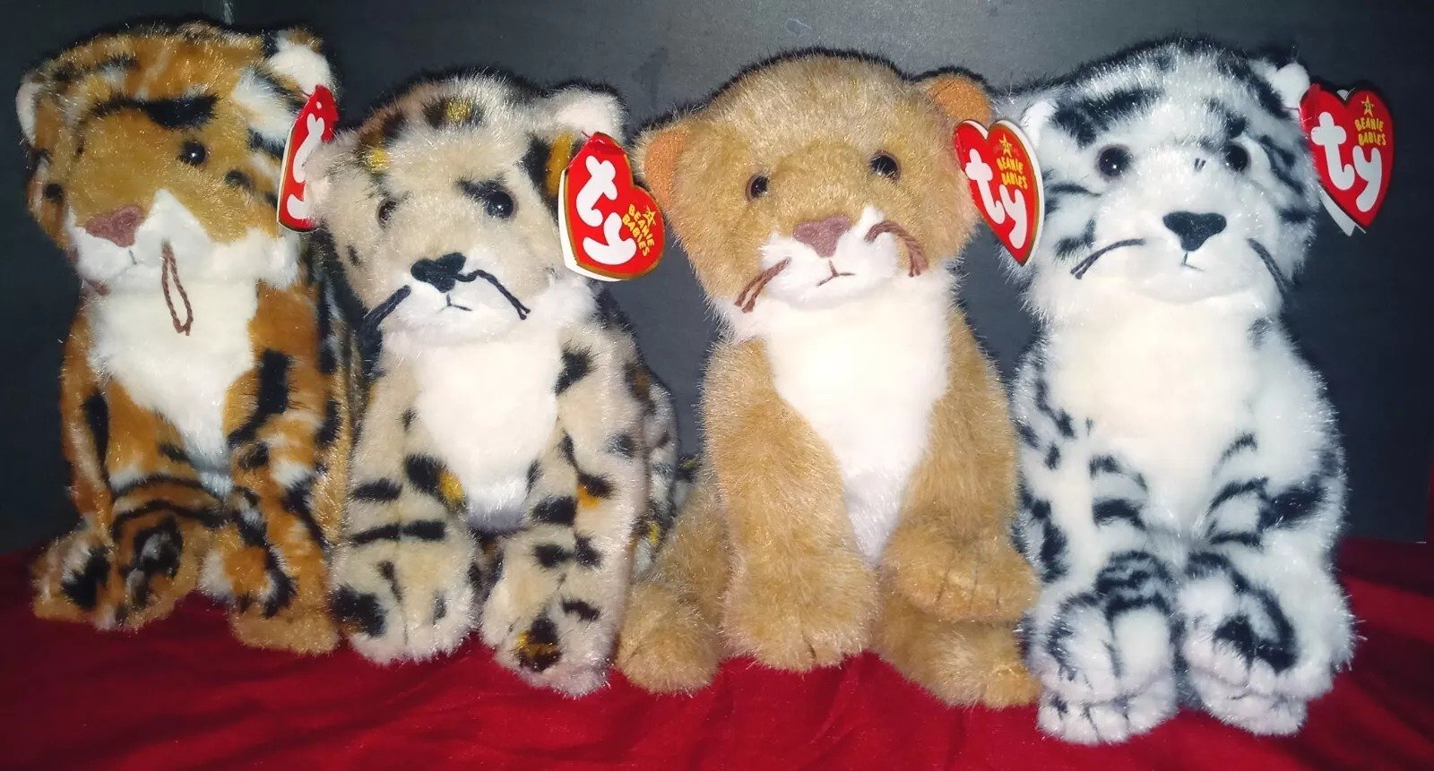 TY Beanie Baby Wild Cat Safari set of 4 with tundra oddity MWMTs