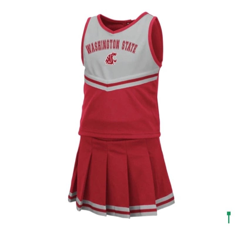 NWT Toddler WSU Cougars Cheer Outfit