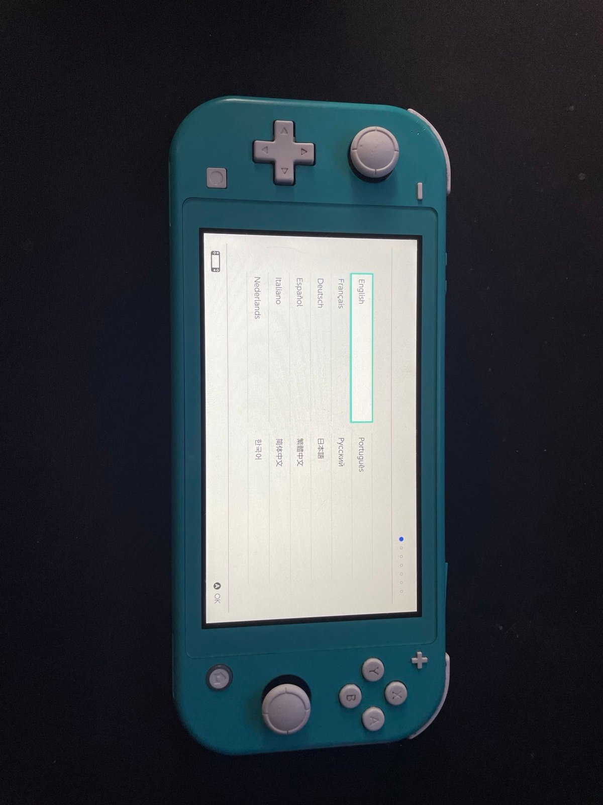 Nintendo Switch Lite