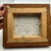Kuna Tribe Mola Embroidery Bird& Armadillo Textile Vintage Framed