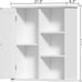 Medicine Cabinet with Door and 3 Open Shelves