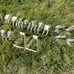 Storewall Hooks for slatwall storage