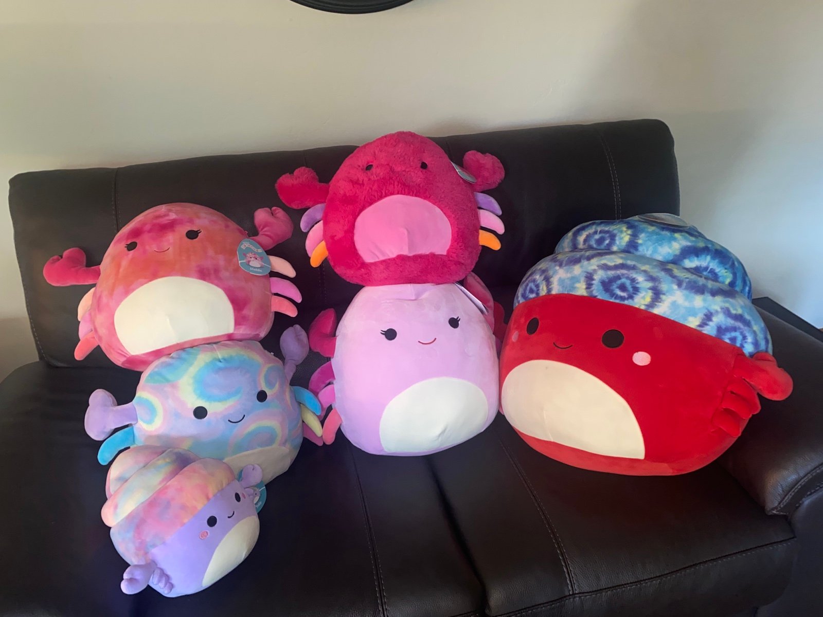 Squishmallows Crab bundle