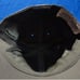 VTG 1967 VIETNAM ERA US ARMY HOT WX FIELD CAP 6 3/8 OG 106 HAT COVER RC 2027