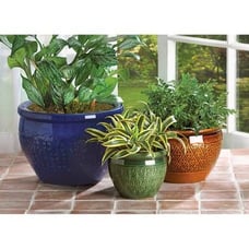 Jewel Tone Flower Pot Trio