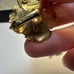Boucher Vintage Gold Tone Pearl Like Flower Signed Clip-On Clip On Earrings