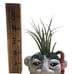 SOLD Air plant holder clay rock troll