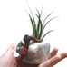 SOLD Air plant holder clay rock troll