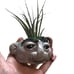 SOLD Air plant holder clay rock troll