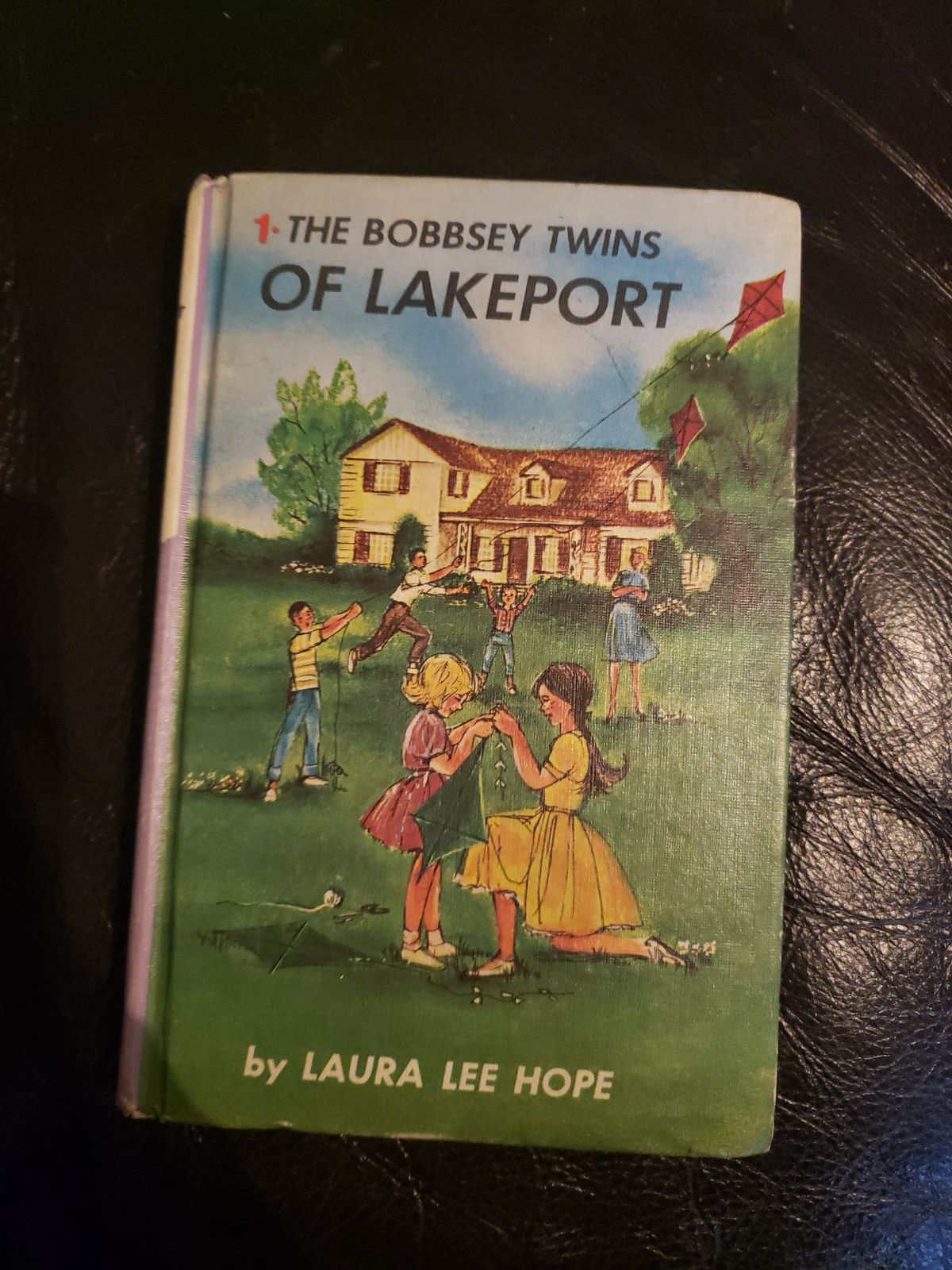 Vintage bobbsey twins book