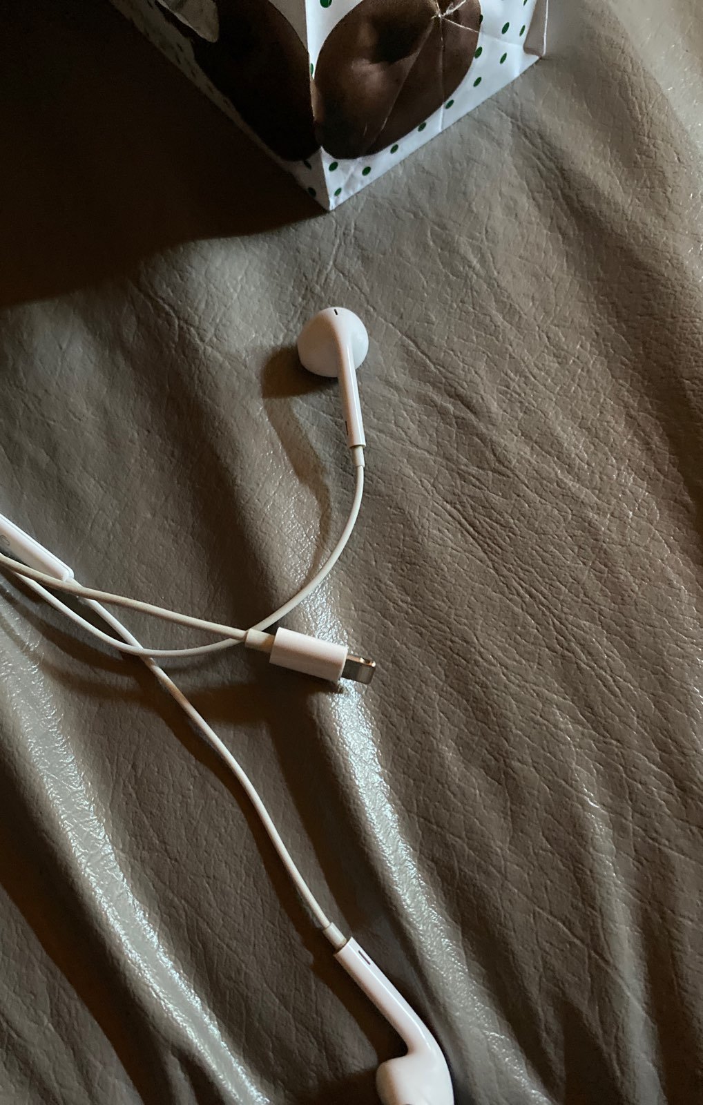 Iphone 11 earbuds