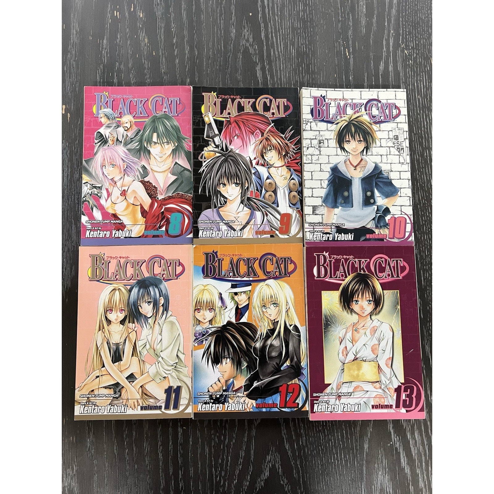 Black Cat Manga Volumes 1-13 English by Kentaro Yabuki