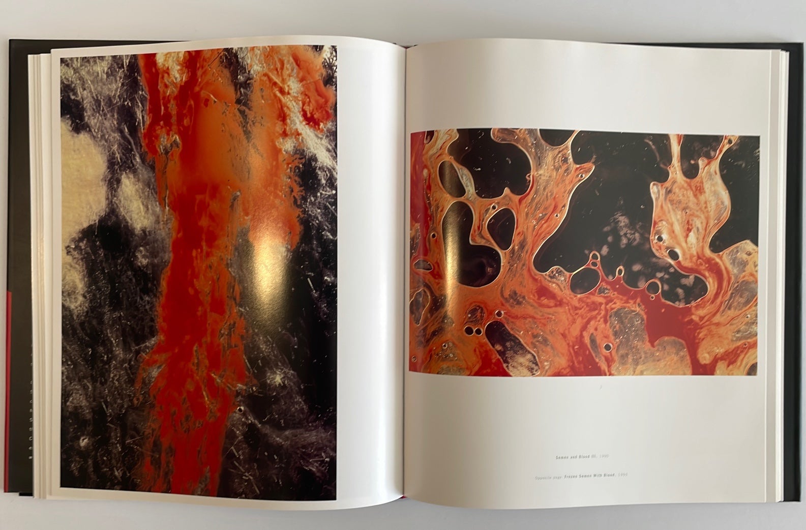 Andres Serrano Body and Soul Photography Books