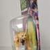 Transformers Beast Wars Deluxe CHEETOR Kenner Hasbro 1997 Sealed Green Eyes