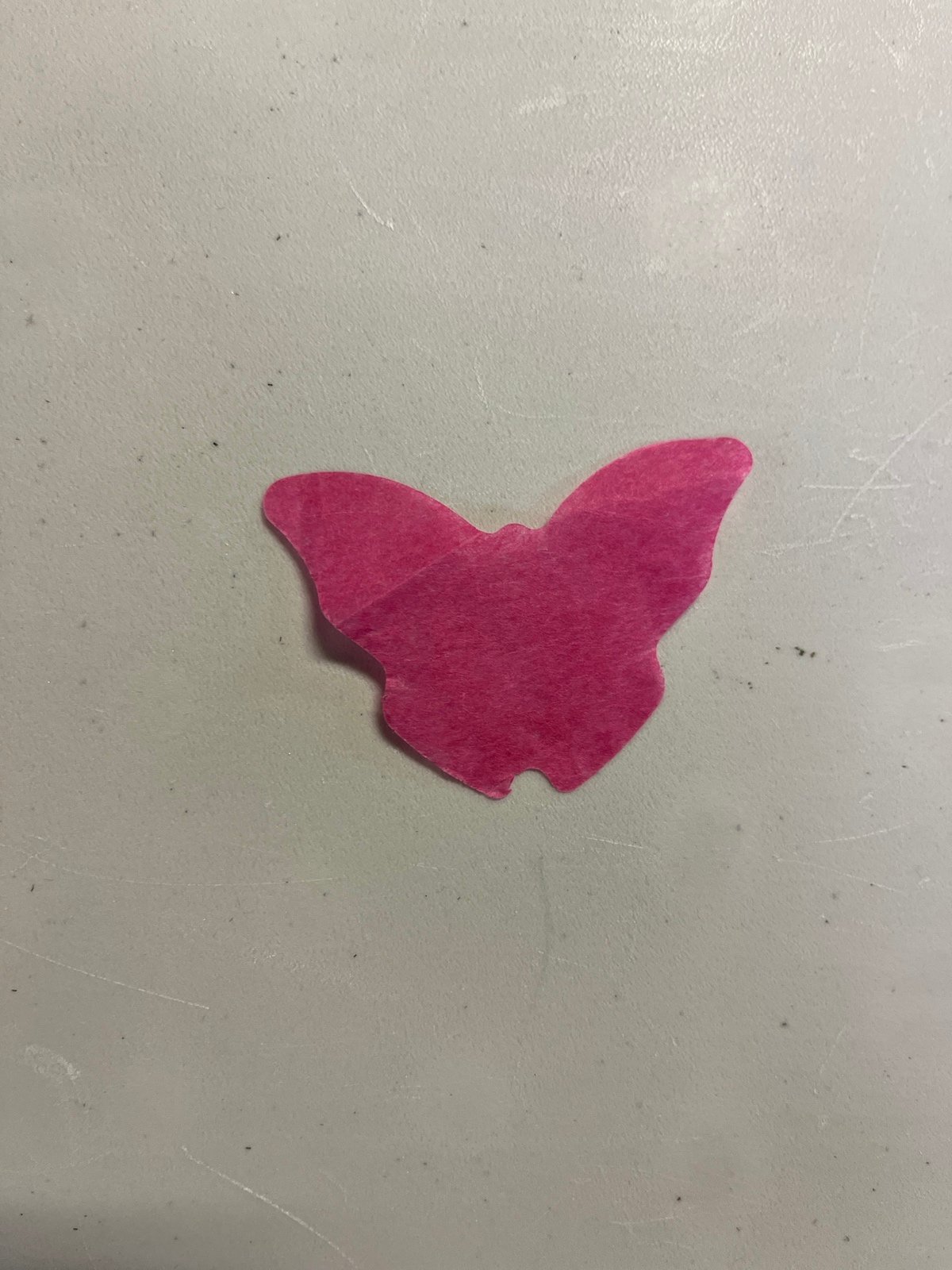 Taylor Swift butterfly lover confetti