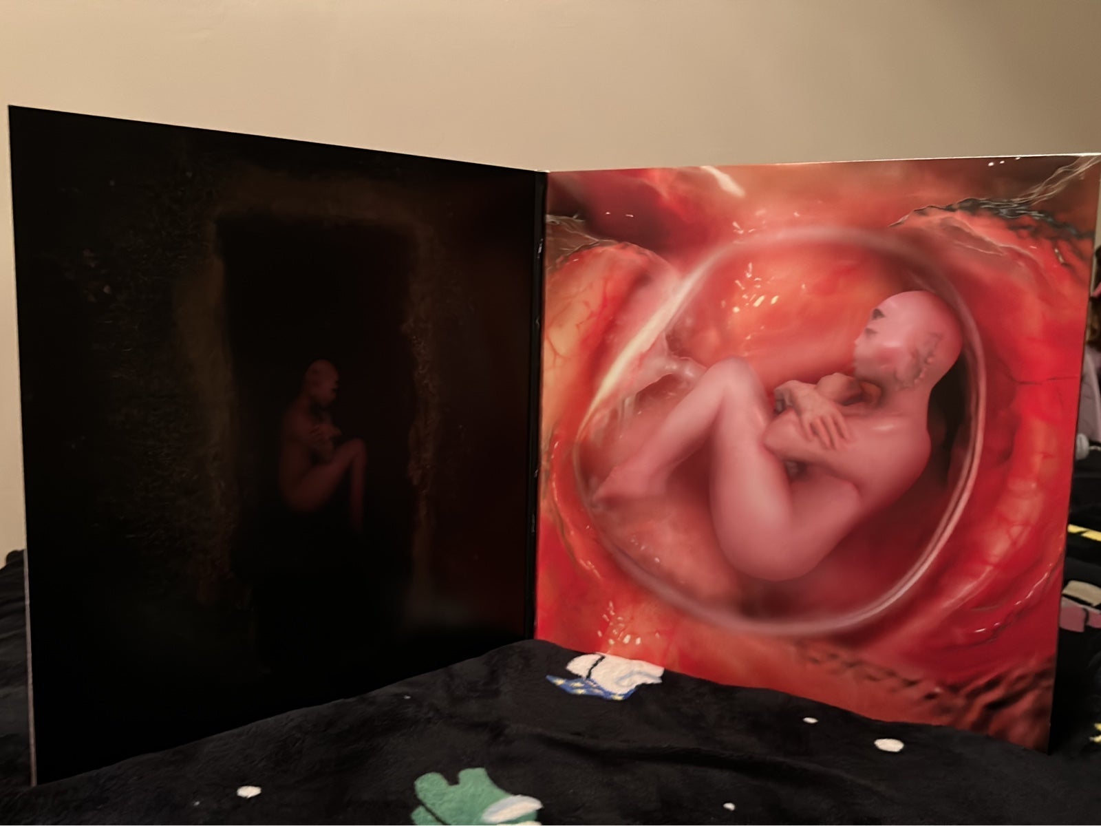 Melanie martinez vinyl LP on sale lot