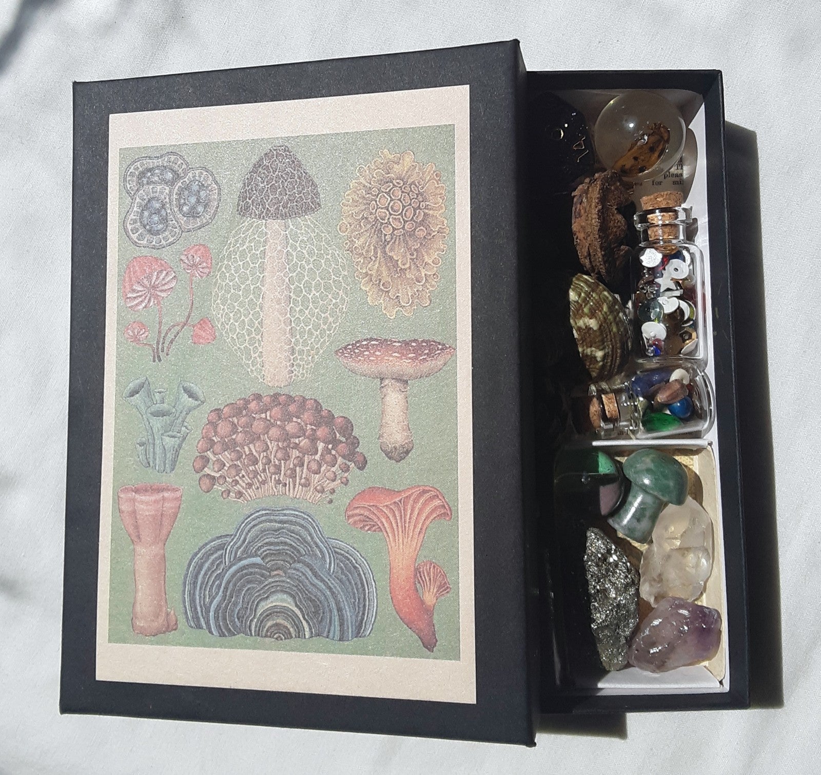 The Forest Fox- Ravencore Corvid Box