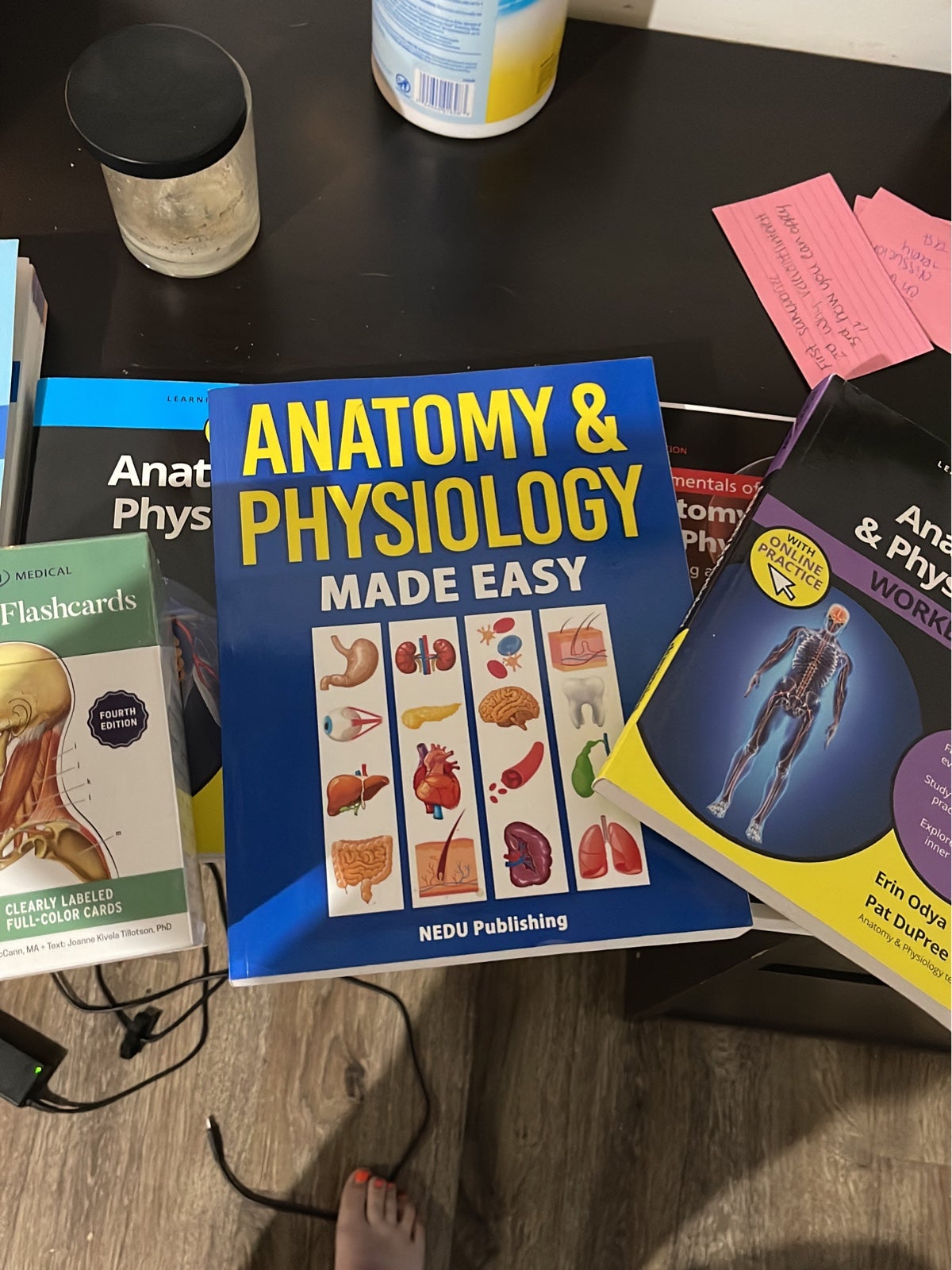 Anatomy bundle