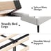 Queen Size Bed Frame with Upholstered Wingback Headboard, Sand