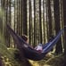 hammock