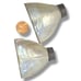 Antique Mother Of Pearl Sterling Silver Mermaid Tail Salt & Pepper Shakers